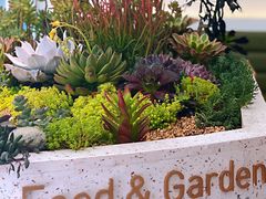 -春树下·树屋花房西餐厅(罍街AS1980店)