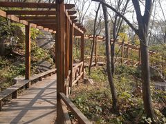 -大岭沟猕猴桃谷风景区
