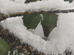 -九峰山