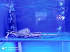 -山葵家·创意料理(临平银泰城店)