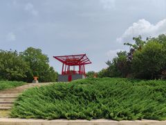 -大望京公园