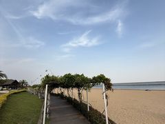 -碧海金沙