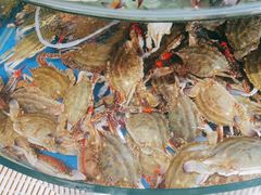 -蓝珊甄选海鲜自助·火锅大排档(近阿那亚店)