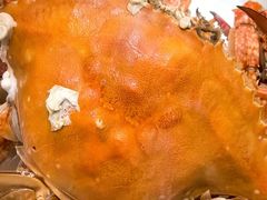 -北塘海鲜·天津菜·鲅鱼水饺是一绝(大光明桥旗舰店)