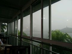 -望湖烤鱼