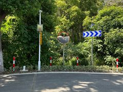 -动邦皮划艇·桨板·独木舟·团建户外运动俱乐部