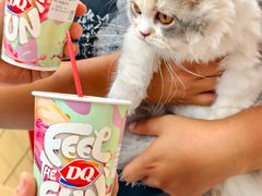 -DQ·蛋糕·冰淇淋(五角场万达店)