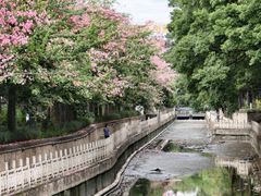 -番禺广场(市桥街道)