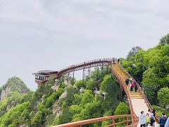 -少华山国家森林公园