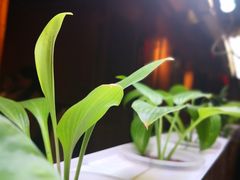 -望京一号·重庆江湖菜(工体店)
