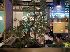 -鲜潭蒸汽石锅鱼(五道口购物中心店)