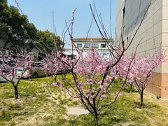 -国家电网(金山供电营业厅)