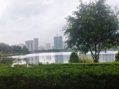 -飞来湖湿地公园