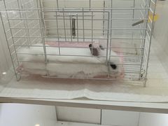 -鹏欣水游城