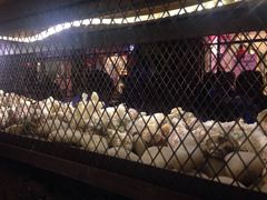 -大碗厨 25年老字号 现炒湘菜(四季天地店)