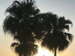 -柳湖沙月沙滩公园