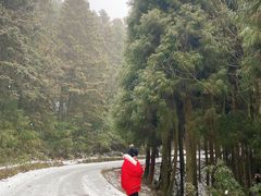 -武陵山森林公园