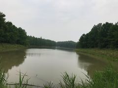 -上海海湾国家森林公园