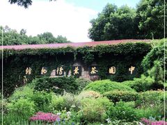 -中国茶叶博物馆(双峰馆区)