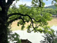 -蒋氏故居