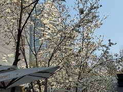 -COMMUNE幻师(花园道店)
