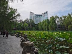 -莲湖公园