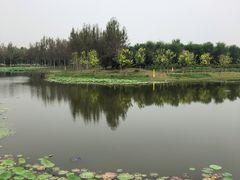 -东郊湿地公园