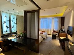 -九华山聚龙大酒店