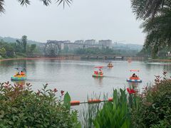 -枫香湖儿童公园