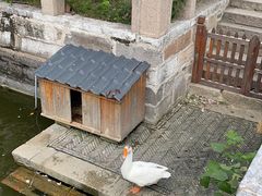 -苏州文庙(姑苏区)