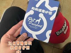 -宠颐生贝利健动物医院(谢家湾分院)