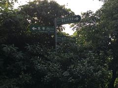 -紫金山天文台