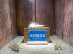 -南昌海洋公园