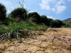 -午潮山国家森林公园