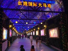 -广州长隆国际大马戏