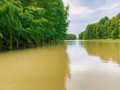 -上海海湾国家森林公园