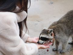 -石林冰雪海洋世界