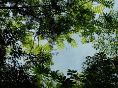 -龙窝子