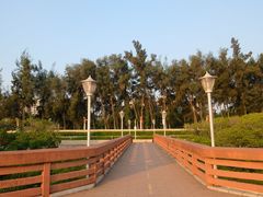 -宝安西湾红树林湿地公园