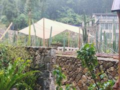 -MOJ coffee(瓯海泽雅水碓坑店)