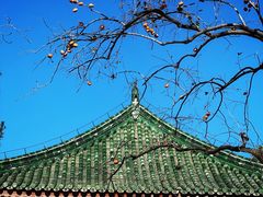 -国家图书馆·古籍馆