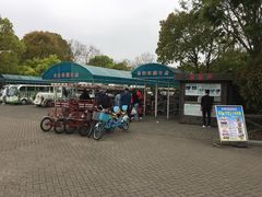 -上海海湾国家森林公园