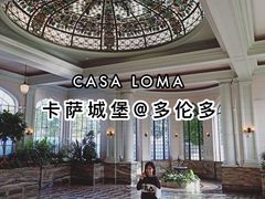 -卡萨罗马城堡