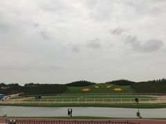 -迪茵湖田家舍生态农场