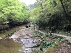 -黎坪国家森林公园