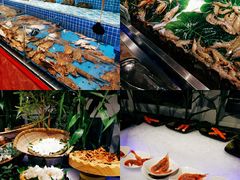 -蓝钻·国际美食海鲜自助百汇(西直门店)