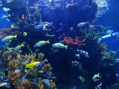 -多彩贵州城极地海洋世界