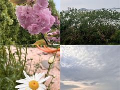 -渭滨公园
