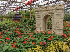 -南宫五洲植物乐园