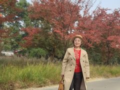 -白鹭湾湿地公园